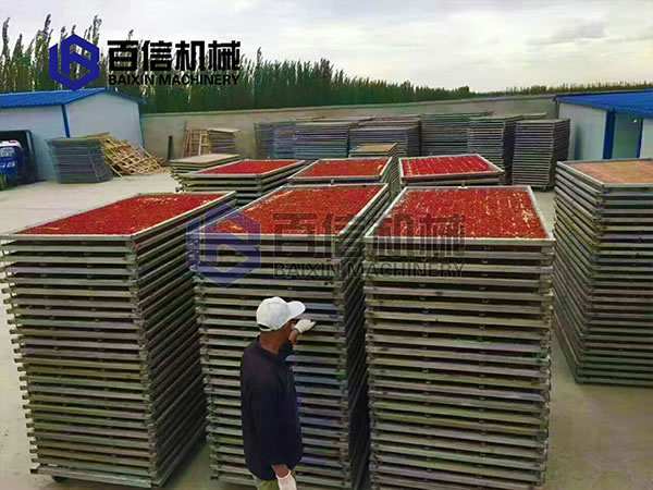 枸杞烘干機烘干現(xiàn)場